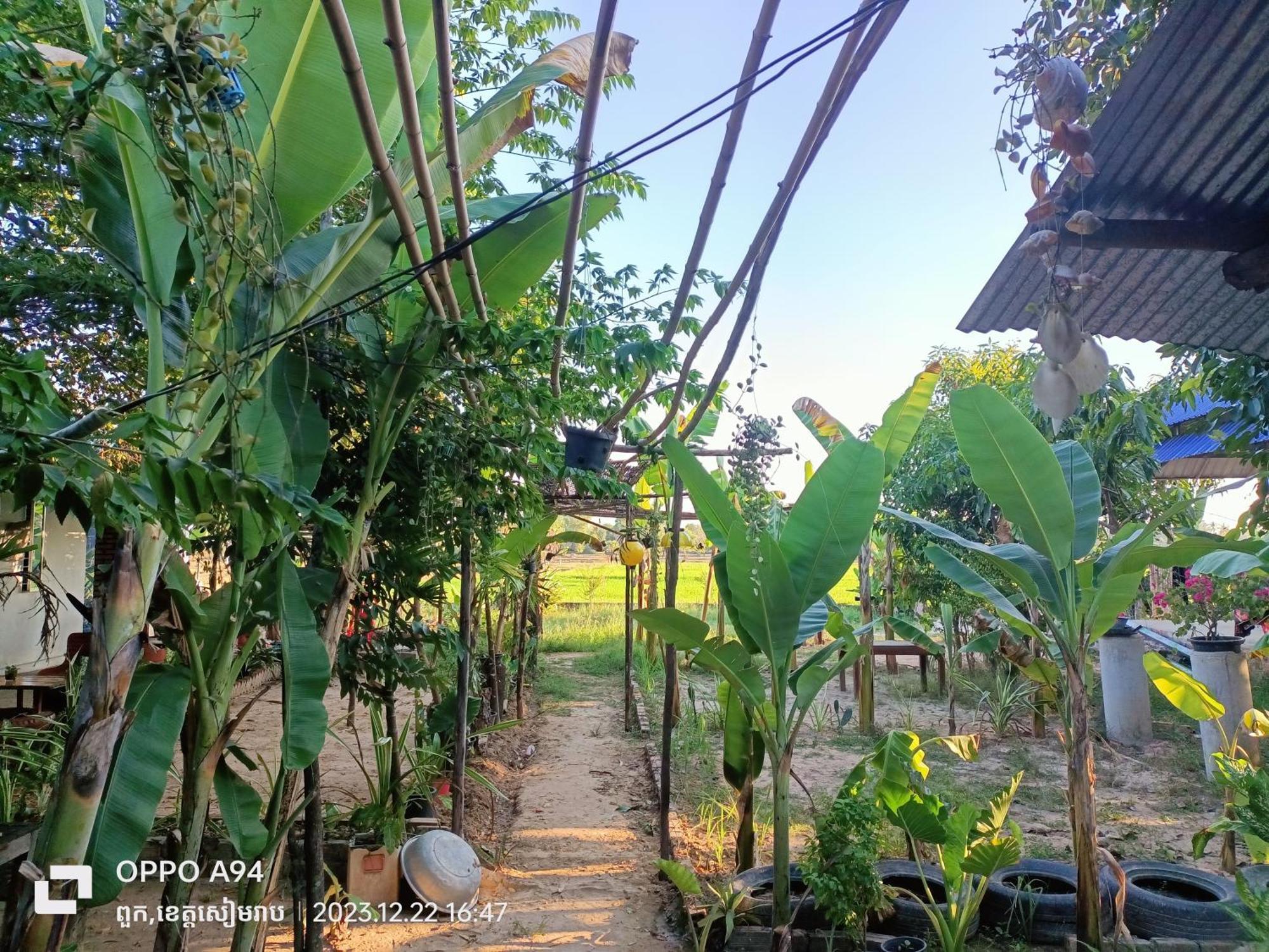 Phonluer Angkor Homestay, Siem Reap Esterno foto