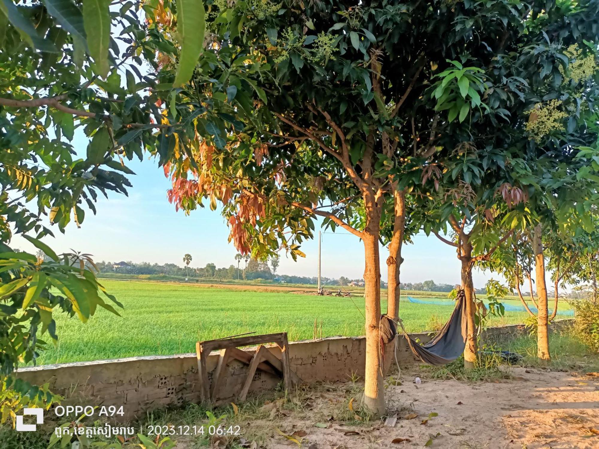Phonluer Angkor Homestay, Siem Reap Esterno foto