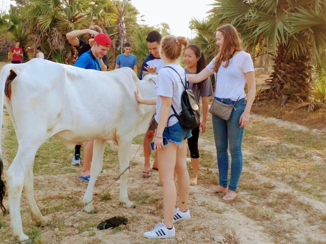 Phonluer Angkor Homestay, Siem Reap Esterno foto
